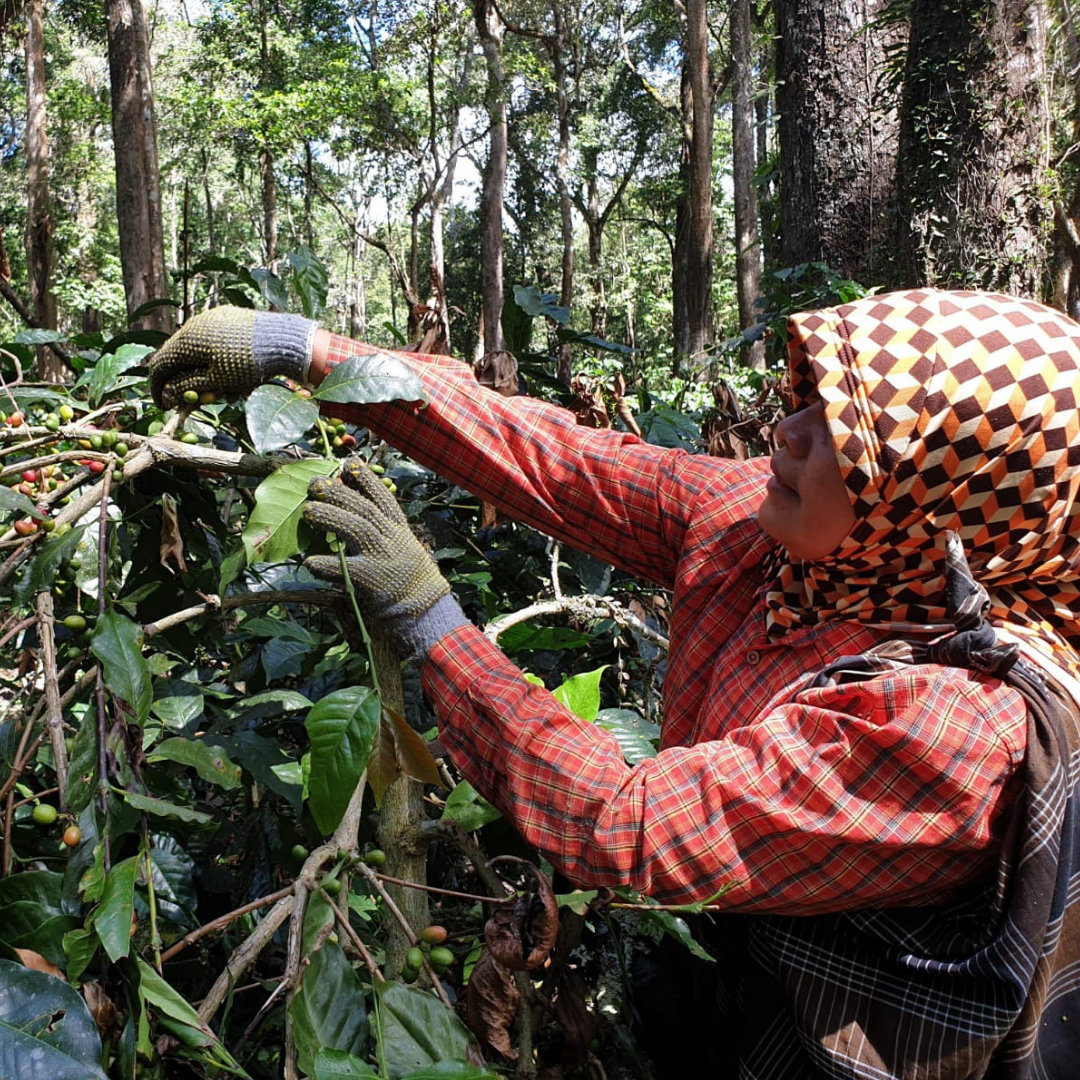 untitled design (39)